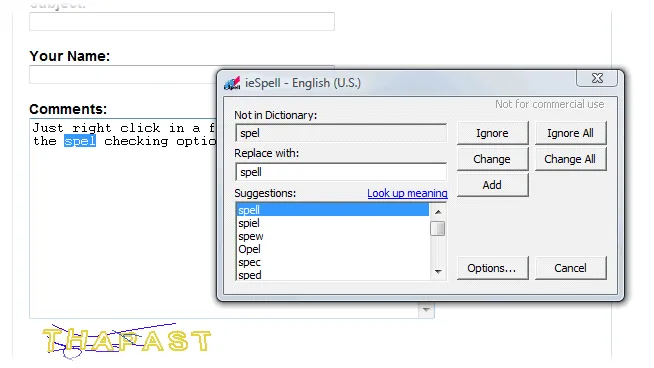 ieSpell Captura de tela 2