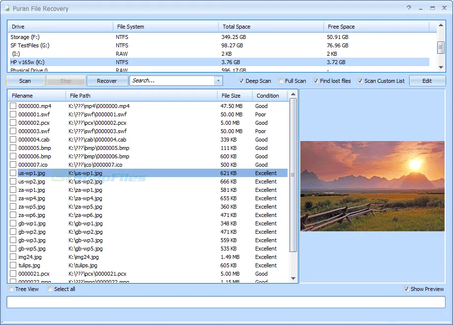 Puran File Recovery Captura de tela 1